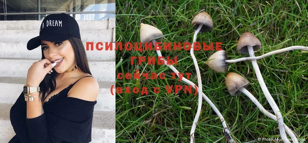 синтетический гашиш Покровск
