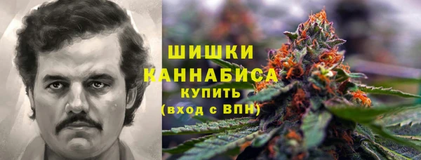 молекула духа Покров